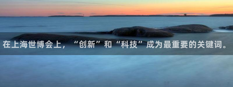 果博公司怎么开户：在上海世博会上，“创新