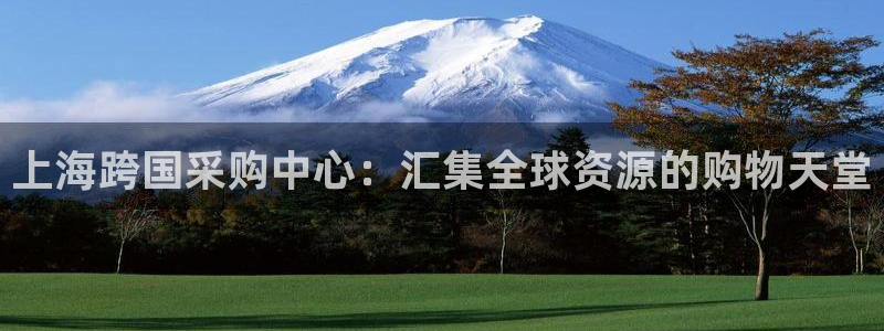 苹果手机能下载果博吗：上海跨国采购中心：