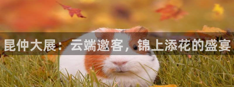果博平台真实吗安全吗是真的吗：昆仲大展：云端邀客，