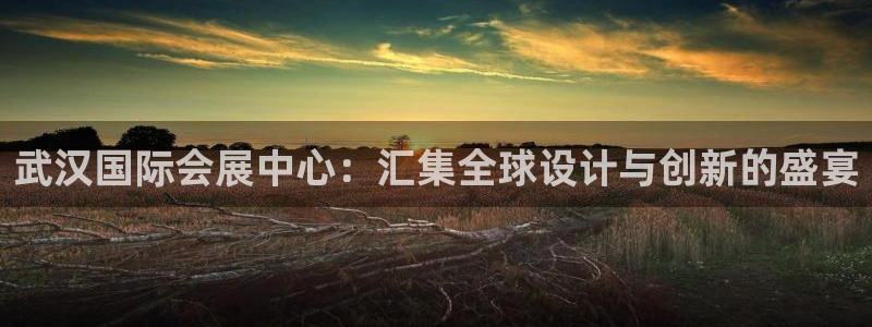 果博注册账号链接：武汉国际会展中心：汇集