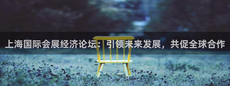 果博平台真实吗安全吗可靠吗：上海国际会展