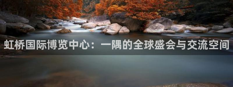 果博注册平台怎么注册的：虹桥国际博览中心：一隅的全