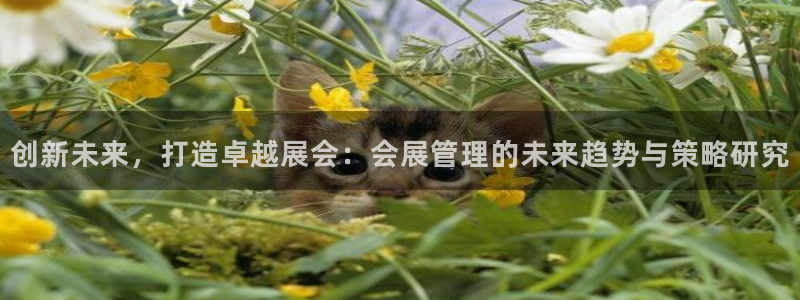 果博东官方网站怎么下载：创新未来，打造卓越展会：会展管理的未来趋势与策略研究