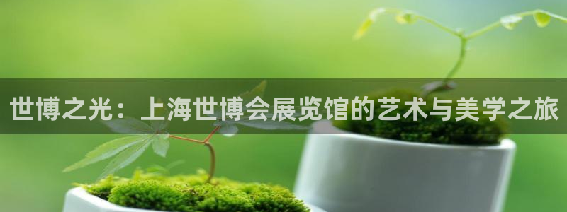 果博公司联系电话：世博之光：上海世博会展览馆的艺术与美学之旅