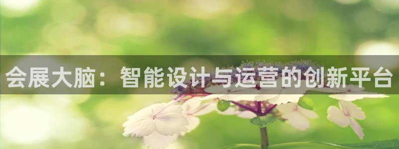 果博注册会员多少钱：会展大脑：智能设计与
