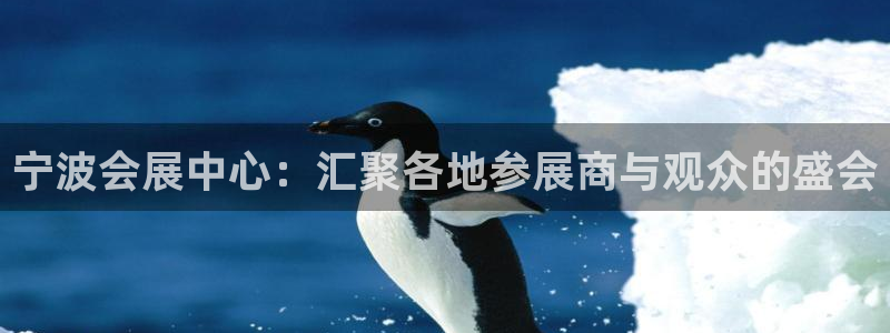 果博公司客服