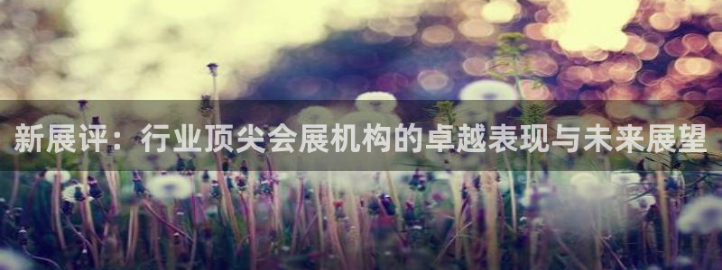 果博注册平台怎么注册不了：新展评：行业顶