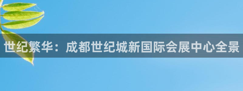 果博代理：世纪繁华：成都世纪城新国际会展