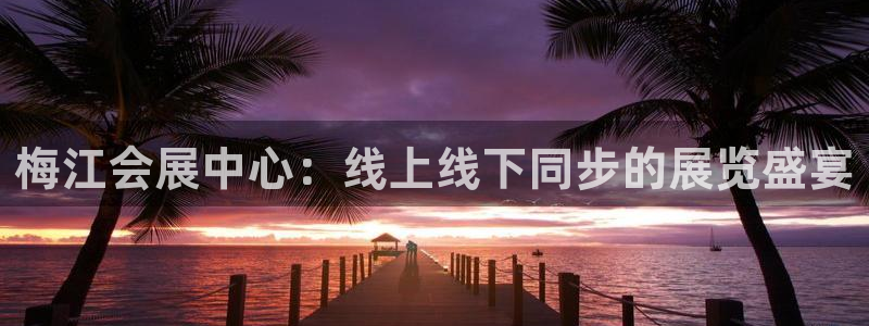 果博注册平台怎么注册不了：梅江会展中心：线上线下同步的展览盛宴