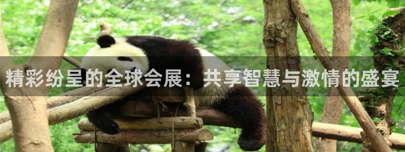 果博客服微信是多少
