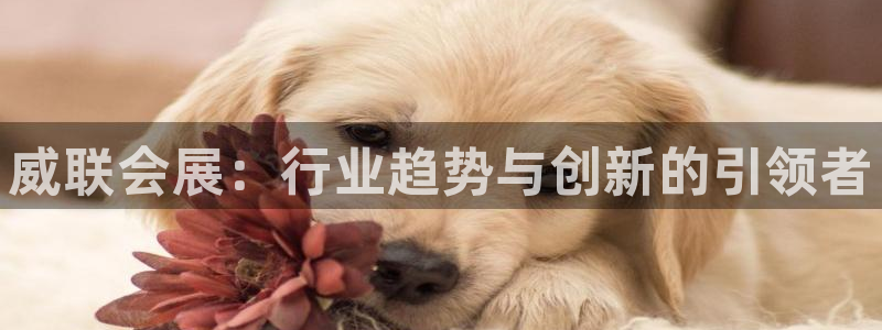 果博电话