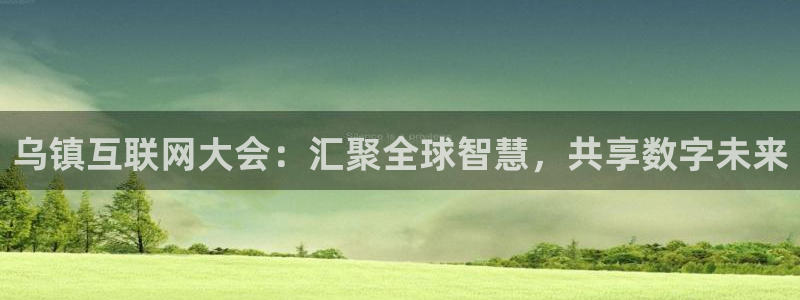 果博平台真实吗知乎：乌镇互联网大会：汇聚