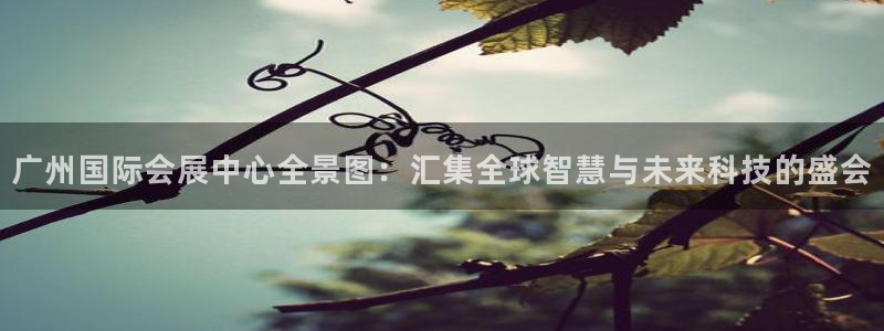 果博官方热线：广州国际会展中心全景图：汇