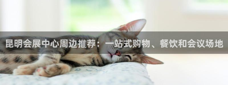 果博平台电话