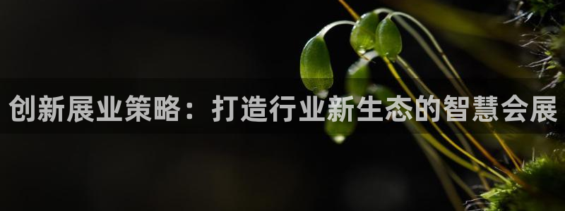 果博服务电话