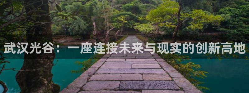 果博上分电话：武汉光谷：一座连接未来与现实的创新高地