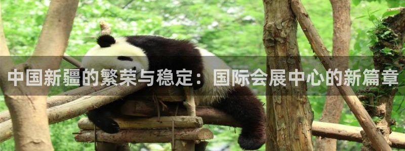 下载果博：中国新疆的繁荣与稳定：国际会展