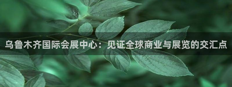 果博平台苹果电脑怎么下载：乌鲁木齐国际会