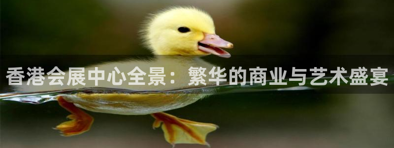 果博官方网：香港会展中心全景：繁华的商业与艺术盛宴