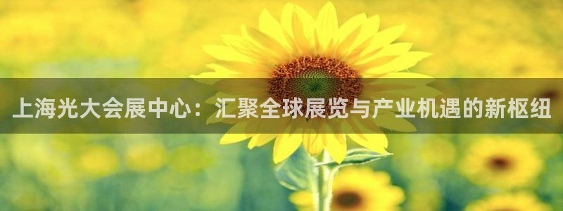 果博手机版下载：上海光大会展中心：汇聚全