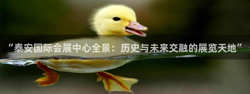 果博公司怎么开户