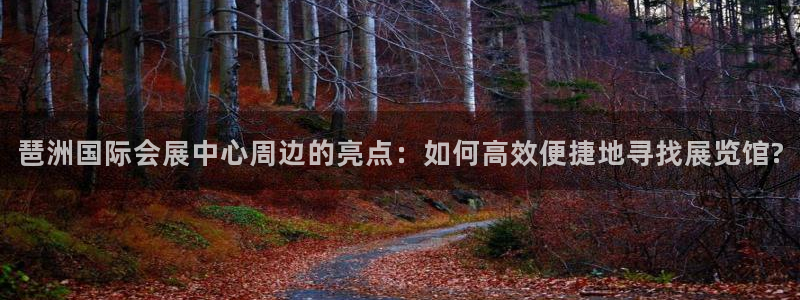 果博平台赖不赖：琶洲国际会展中心周边的亮