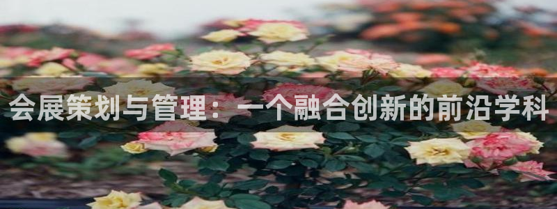 下载果博：会展策划与管理：一个融合创新的