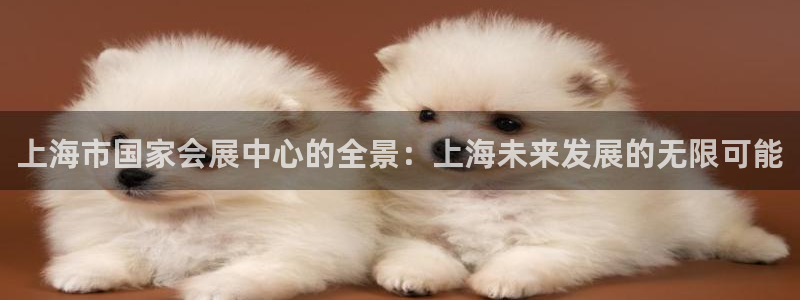 手机怎样下载果博：上海市国家会展中心的全