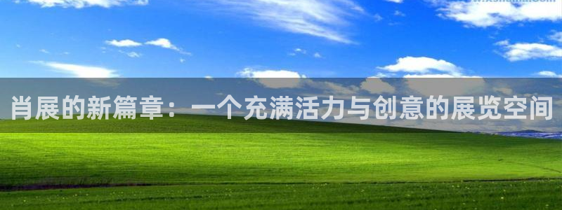 果博公司会员账号开户