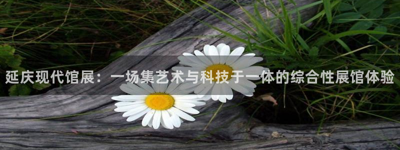 果博注册：延庆现代馆展：一场集艺术与科技