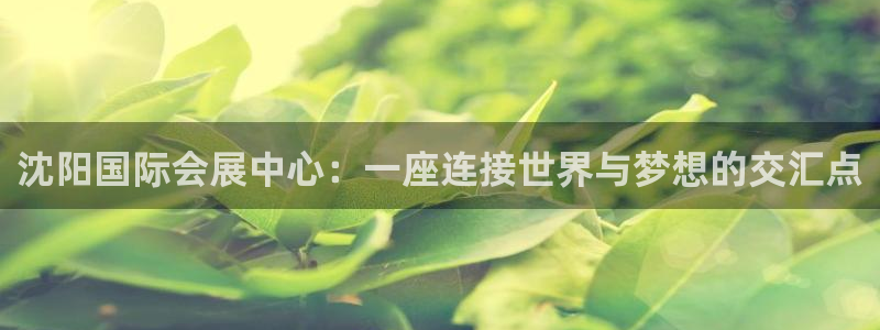 果博官方网：沈阳国际会展中心：一座连接世