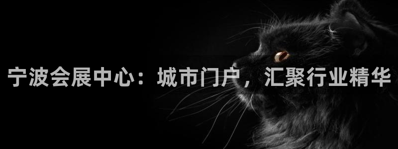 苹果电脑可以下载博易大师吗:宁波会展中心