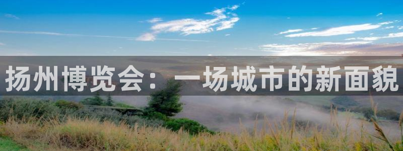 果博手机版下载：扬州博览会：一场城市的新面貌