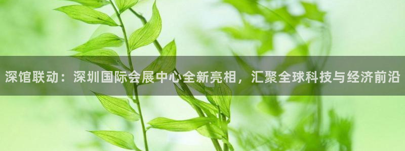果博公司客服怎么样：深馆联动：深圳国际会展中心全新亮相，汇聚全球科技与经济前沿