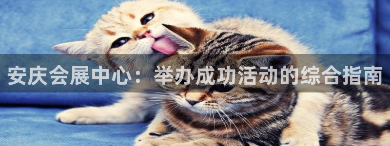 果博公司客服怎么样
