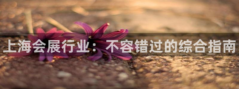 果博客服微信是多少：上海会展行业：不容错