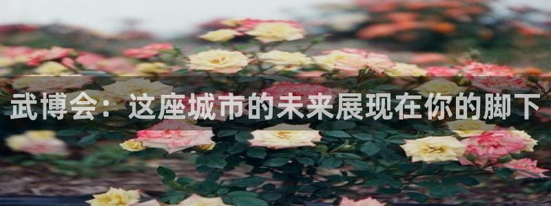 果博平台真实吗安全吗可靠吗：武博会：这座