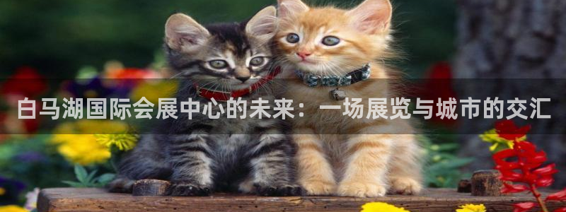 果博集团：白马湖国际会展中心的未来：一场