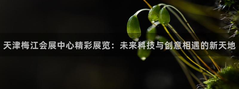 果博上分电话