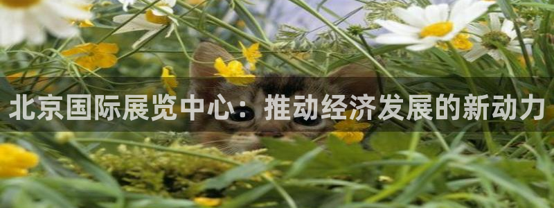 果博平台真实吗知乎怎么样