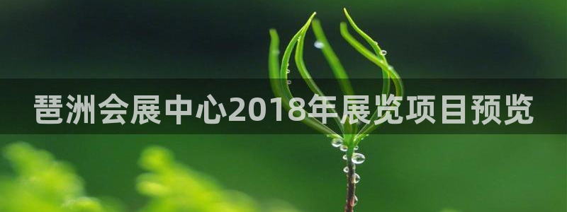果博公司开户