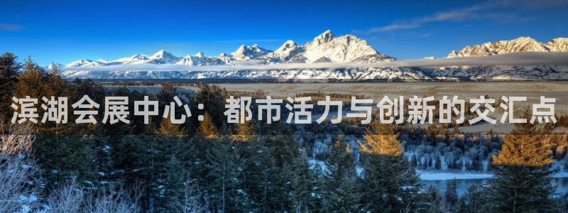 果博平台开户电话号码：滨湖会展中心：都市