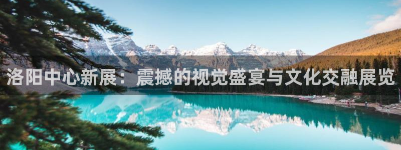 果博公司怎么注册会员：洛阳中心新展：震撼