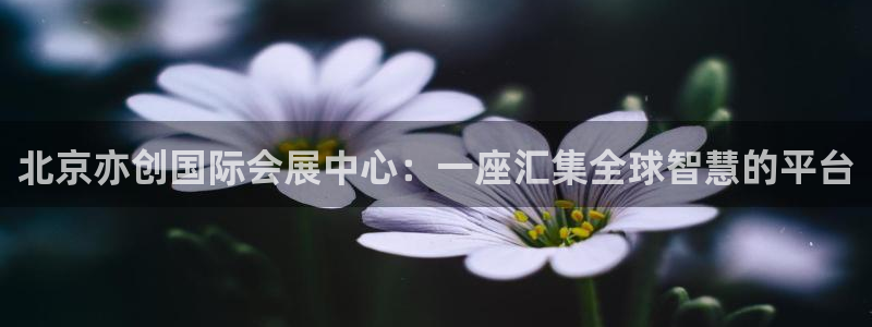果博公司客服微信：北京亦创国际会展中心：