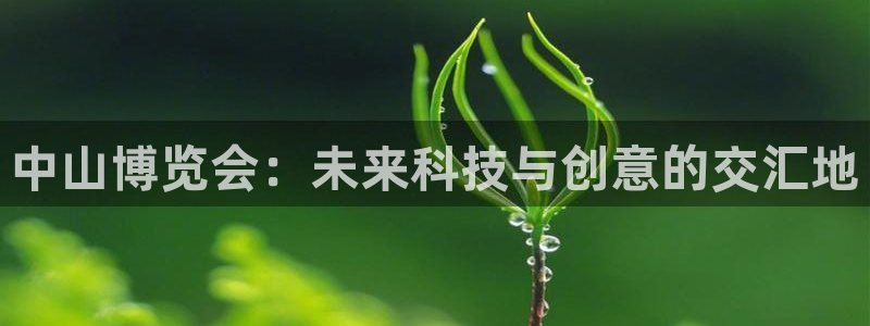 果博是怎么登录的：中山博览会：未来科技与