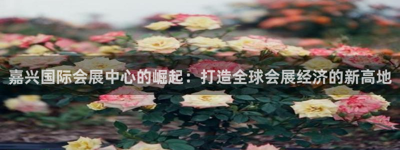 手机怎样下载果博：嘉兴国际会展中心的崛起：打造全球会展经济的新高地