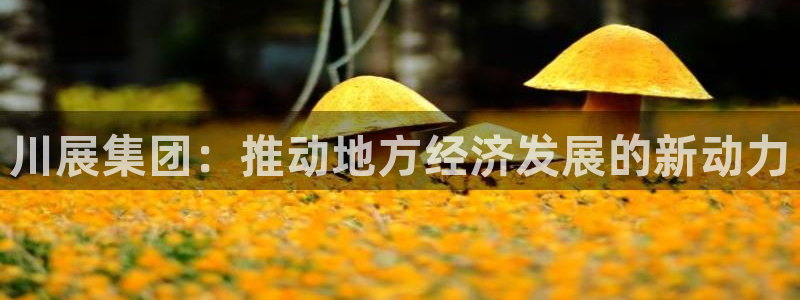 果博有假吗：川展集团：推动地方经济发展的新动力