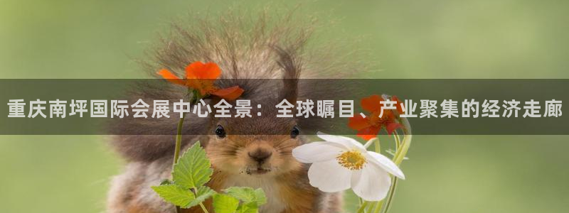 果博代理电话多少号码